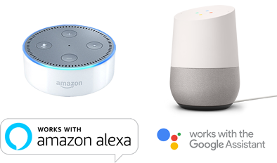 Works with Amazon Alexa and the Google Assistant